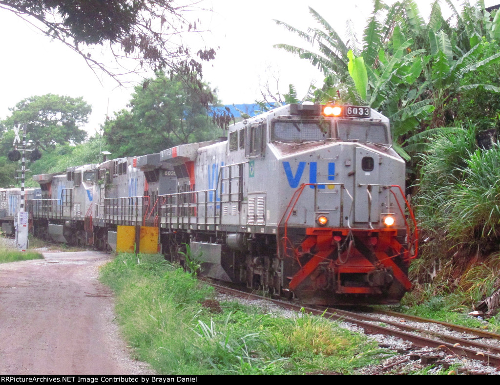 VLI 6033